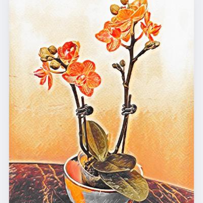 The Diamond Sutra and mindfulness stress reduction -flower meditation