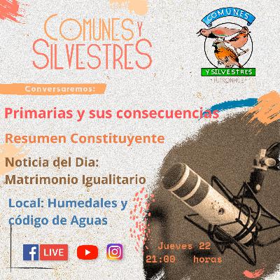 Qué paso en las primarias??