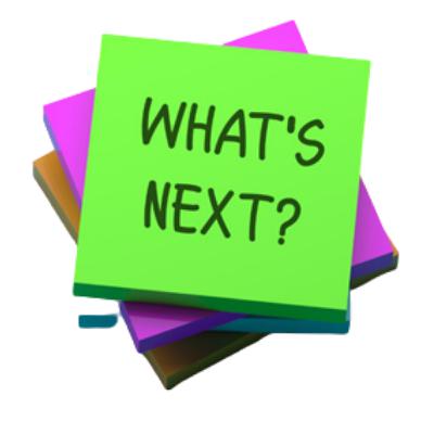 The next steps… The next steps…