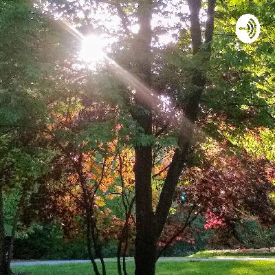 The Green Team Podcast - How to Start Your Own Lawn Care Business