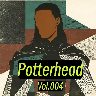 黑人斯内普是剧版《哈利·波特》不可逃脱的命运吗？｜Potterhead EP4