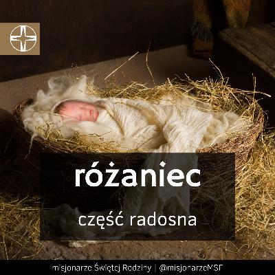 RÓŻANIEC - tajemnice radosne - różaniec z MSF