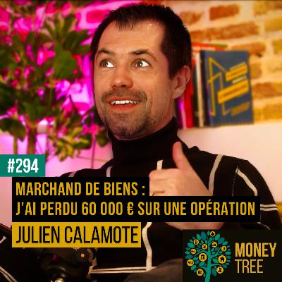 #294 - Marchand de biens : j’ai perdu 60 000 € sur une opération (Julien Calamote)