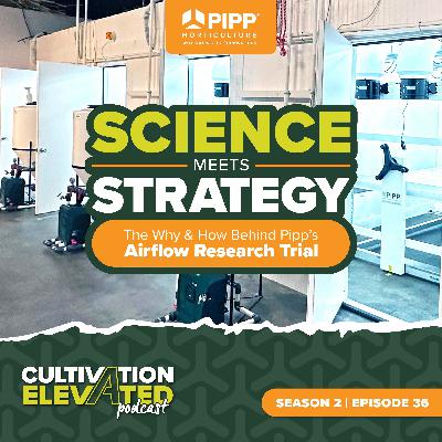 036 - Science Meets Strategy: The Why and How Behind Pipp’s Airflow Research Trial