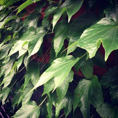 85 Lander Gyselinck (STUFF, LABtrio, BeraadGeslagen, Sandy) 85 Lander Gyselinck (STUFF, LABtrio, BeraadGeslagen, Sandy)