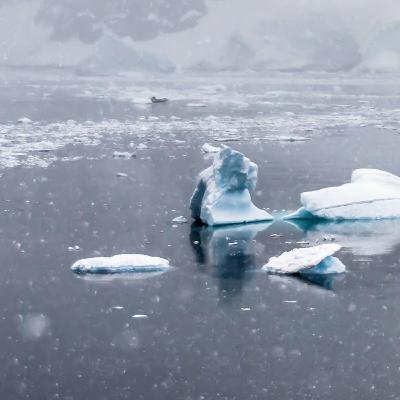 Nature Nomade 2023 - Habiter l'Antarctique