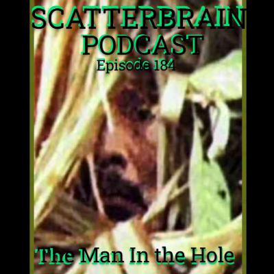 Episode 184 - Scatterbrain Podcast: Replicant In A Hole