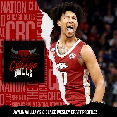 Could Jaylin Williams Be The Chicago Bulls Future Big Man At #18?