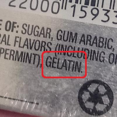 Beware the Snake Called Gelatin!
