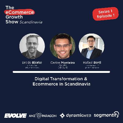 Digital Transformation & Ecommerce in Scandinavia - Brede Bjerke