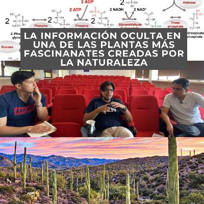 La información oculta en una de las plantas más fascinantes creadas por la naturaleza. T2. EP8. Gustavo Rodriguez
