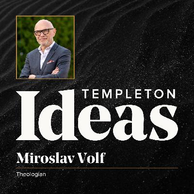 Miroslav Volf (Ambition)
