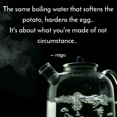The Boiling Pot The Boiling Pot