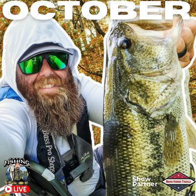 How To Hammer Bass in October