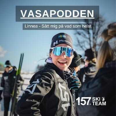 Episode 382: Linnea - Sätt mig på vad som helst Episode 382: Linnea - Sätt mig på vad som helst