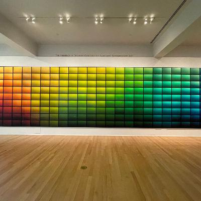 “Nicolas Floc’h: Fleuves-Océan, Mississippi Watershed” at NOMA