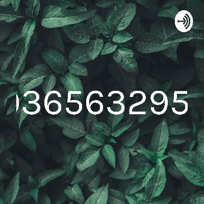 9365632951 (Trailer)