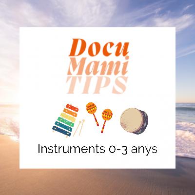 Tips d'instruments per a infants de 0-3 anys amb la Montse Loaso