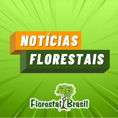 Notícias Florestais - 14/02/2022 - Existem árvores fora da terra?