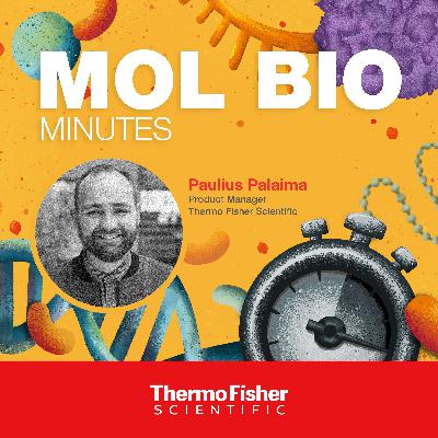 A clear picture – staining tips for gel electrophoresis