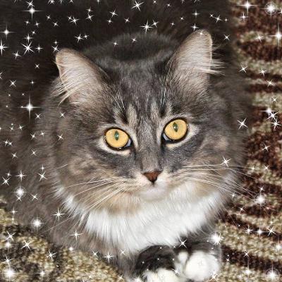 December 19th, Ramblings from Rambling Harbor