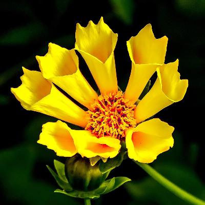 MistCast #170 | O Despertar da Deusa: Mistérios do Equinócio da Primavera