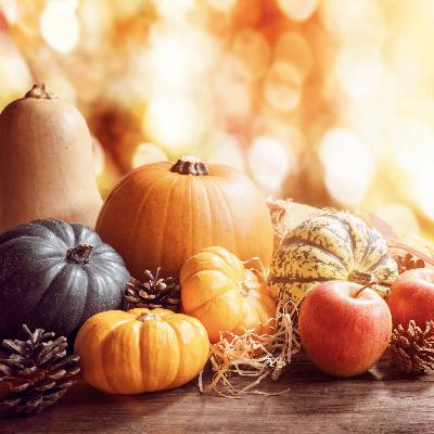 137. When the People You Love Don’t Understand You