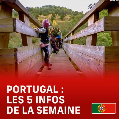 🇵🇹Ravagé par les flammes, un superbe lieu de promenade renaît au Portugal 🇵🇹Ravagé par les flammes, un superbe lieu de promenade renaît au Portugal