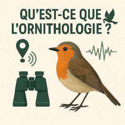 C'est quoi l'ornithologie ?
