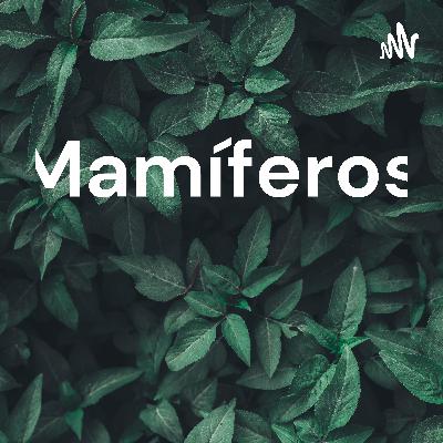 Mamíferos parte 2