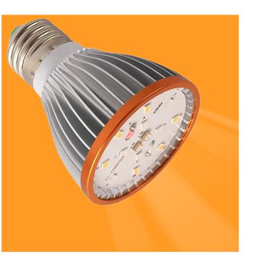 EP45 :: Lâmpadas UVB LED