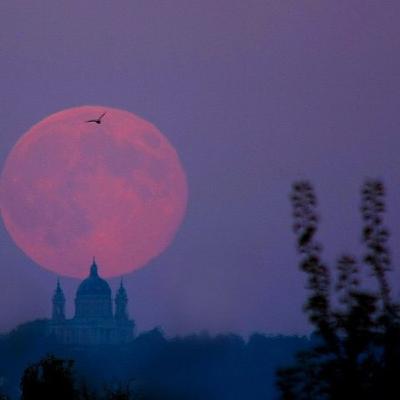 Hunter's Moon