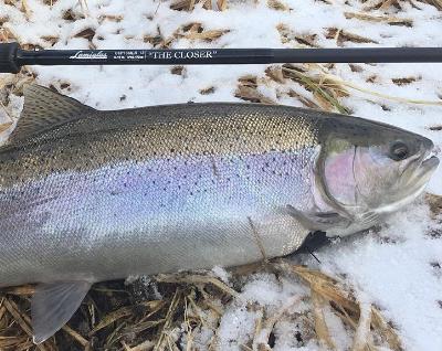 S2 Ep. 1 Winter Steelhead S2 Ep. 1 Winter Steelhead
