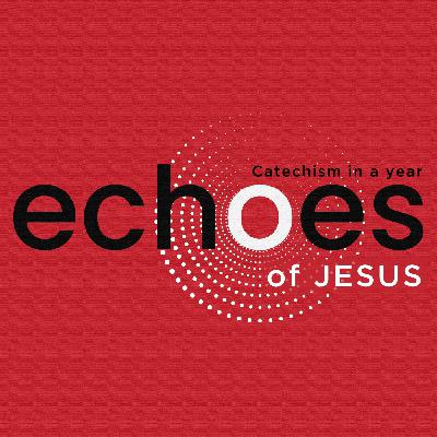 How is Jesus fully God and fully man yet one person? | ECHOES: Catechism in a Year