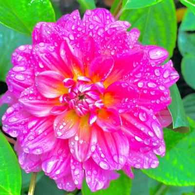 What We Learned From Launching 5 Birds What We Learned From Launching 5 Birds