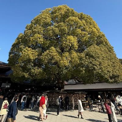 【第1132回】郷ひろみさんのお母様へのお手紙 【第1132回】郷ひろみさんのお母様へのお手紙