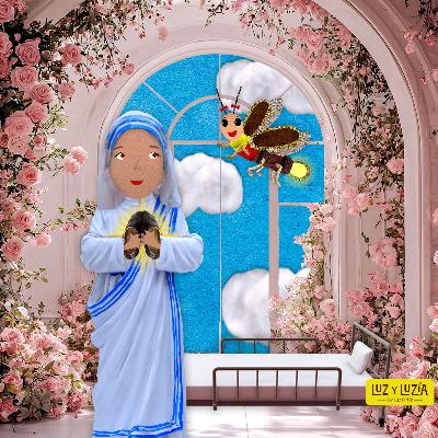 Ciudad Solidaridad Pt.1