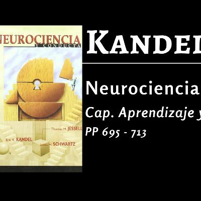 Aprendizaje y memoria, capítulo 35, del libro "neurociencia y conducta" E. Kandel