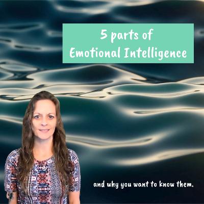 E117 ~ Understanding Emotional Intelligence: The 5 Essential Categories