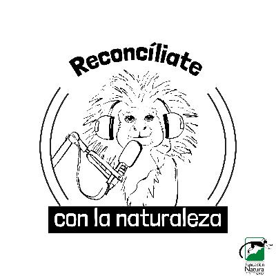 Gobernanza territorial para el empoderamiento de un país anfibio