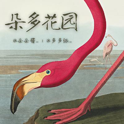 25.那只飞进他人生的鸟