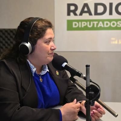 Las banderas entrerrianas salen a recorrer la provincia