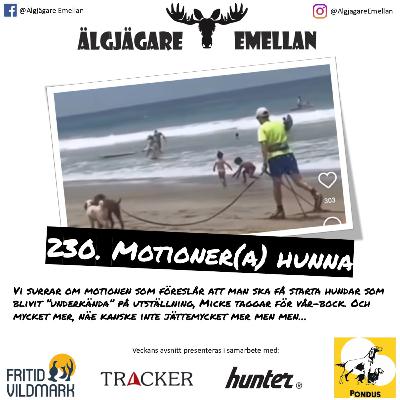230. Motioner(a) hunna