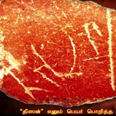 Is there a place for Grantha letters in Tamil language?