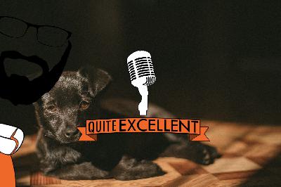 "Why I Respect the Dog" -  Catherine Pierce