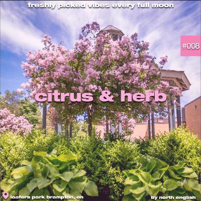 Citrus & Herb 008 Harvest Moon Citrus & Herb 008 Harvest Moon