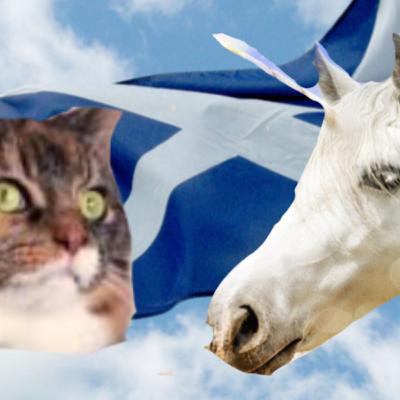 Scottish unicorns Scottish unicorns