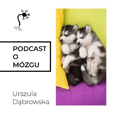 #041 Trzy Sposoby na Bliskość