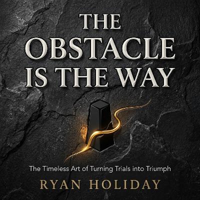 THE ARCHITECTURE OF RESILIENCE: How to Turn Every Crisis into Your Greatest Advantage (The Guide to The Obstacle is the Way)
