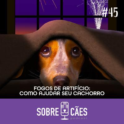 Fogos de artifício: como ajudar seu cachorro - Sobre Cães